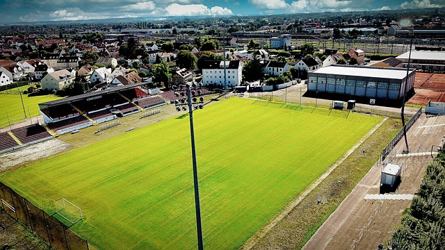 凯尔特人向 凯尔特人向