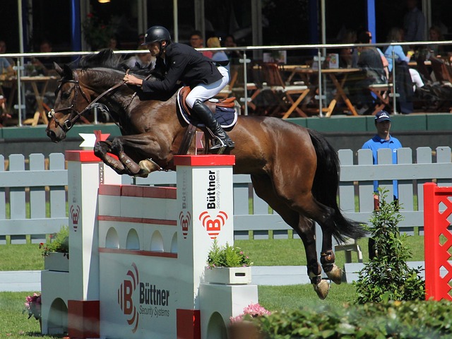 品牌的塑造 品牌的塑造