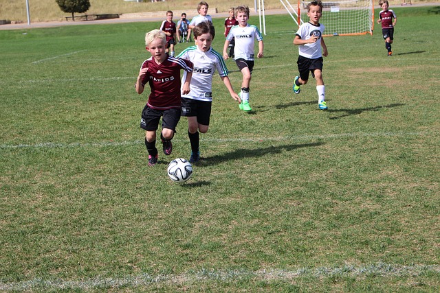 可以帮助球 可以帮助球