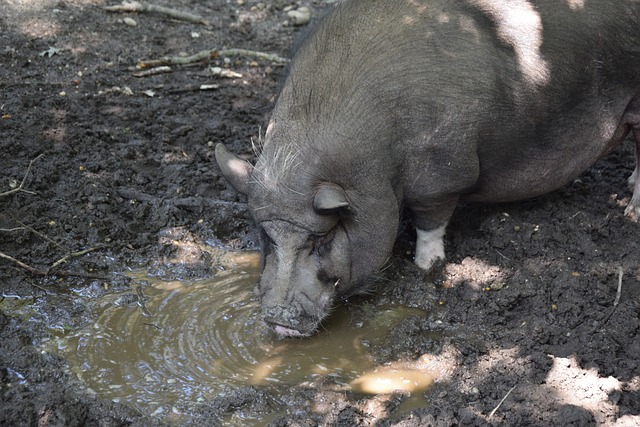 这些相对轻 这些相对轻