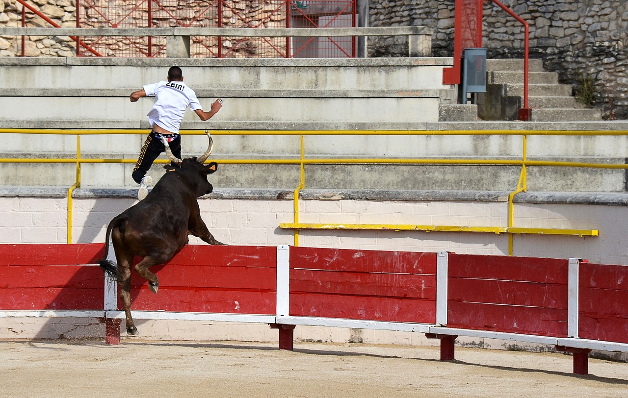传球再次点 传球再次点